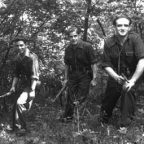 comapñeros