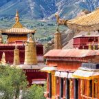 lhasa