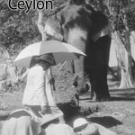 Song of Ceylon - Canción de Ceilán (1934)