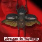 Lágrimas de Wayronco, documental sobre la violencia en Perú